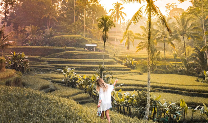 Ubud Rice Fields Walk